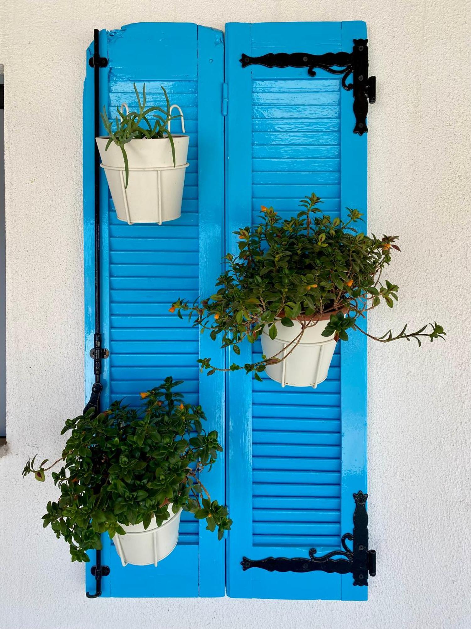 Apartment Aphrodite Center *